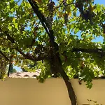 Evasion En Provence Bas De Villa Avec Jardin & Vignes, Soleil & Fraicheur